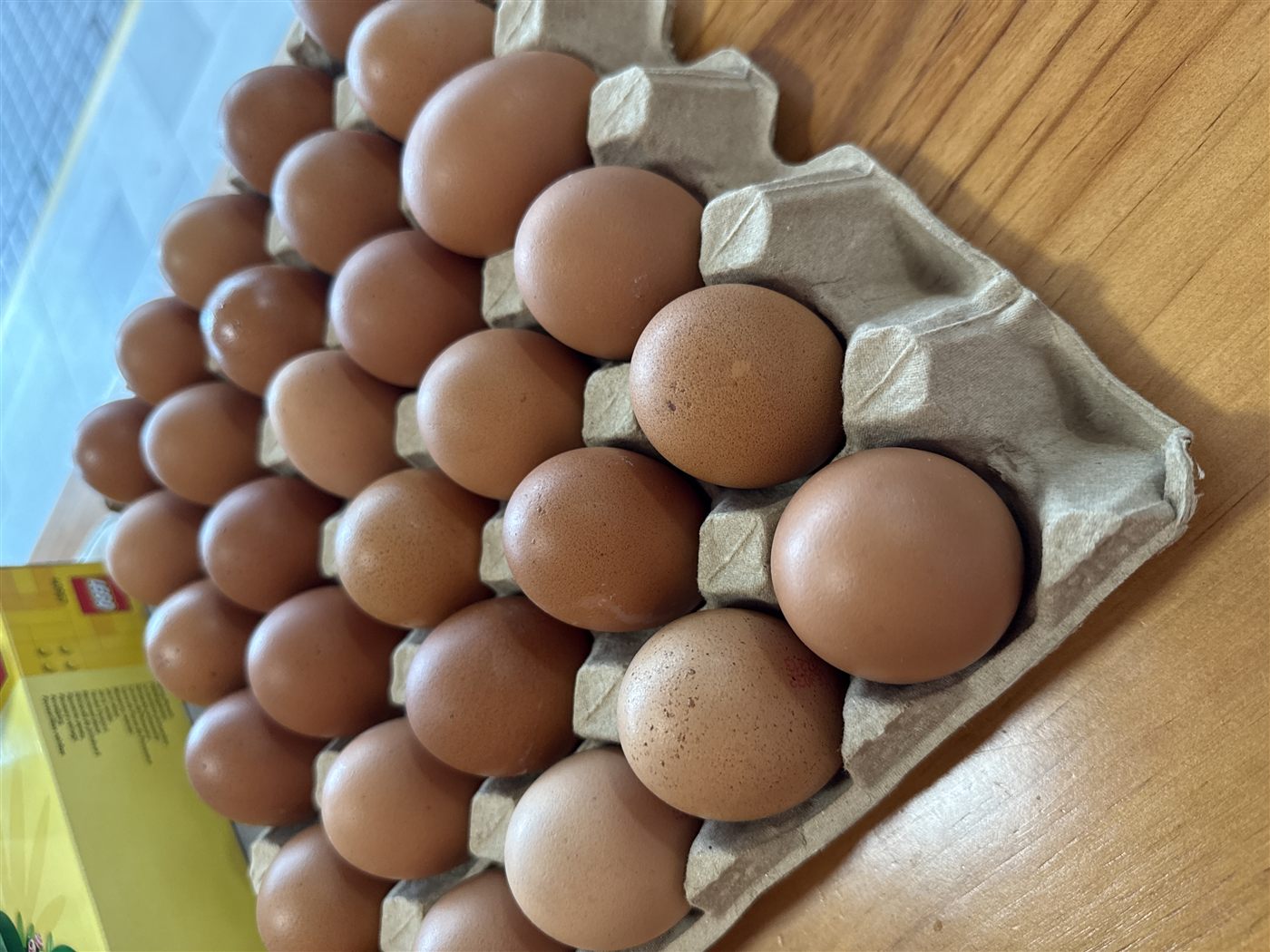 An egg looks safe. The temperature decides if it is.